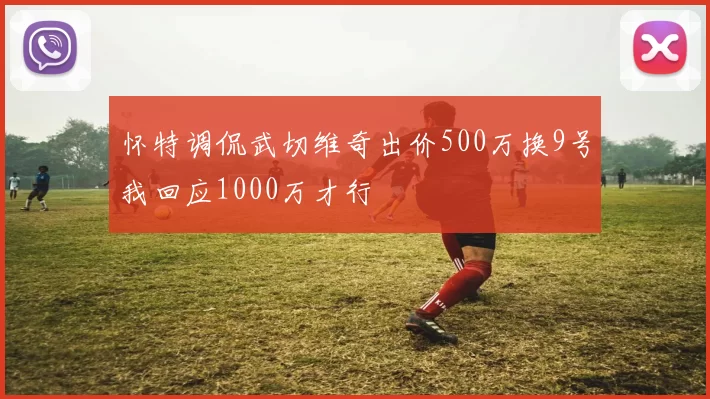 怀特调侃武切维奇出价500万换9号我回应1000万才行