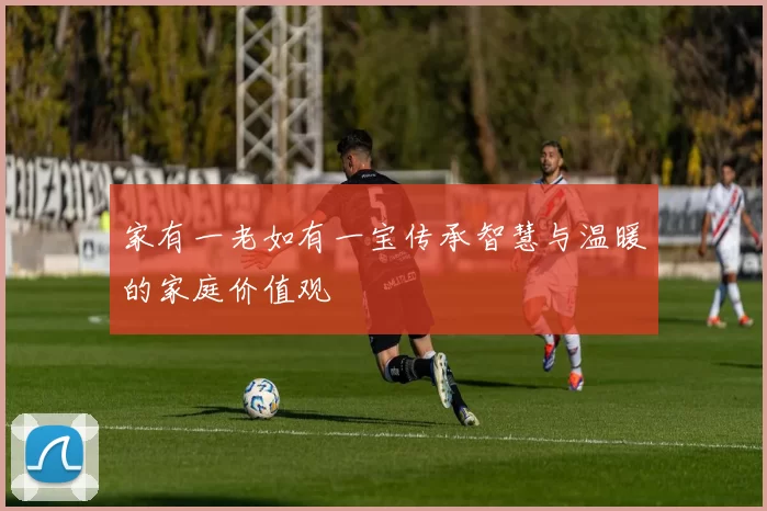 家有一老如有一宝传承智慧与温暖的家庭价值观